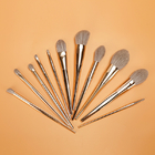 ISO14001 Professional High End Makeup Brush 13pieces Triangular Handle